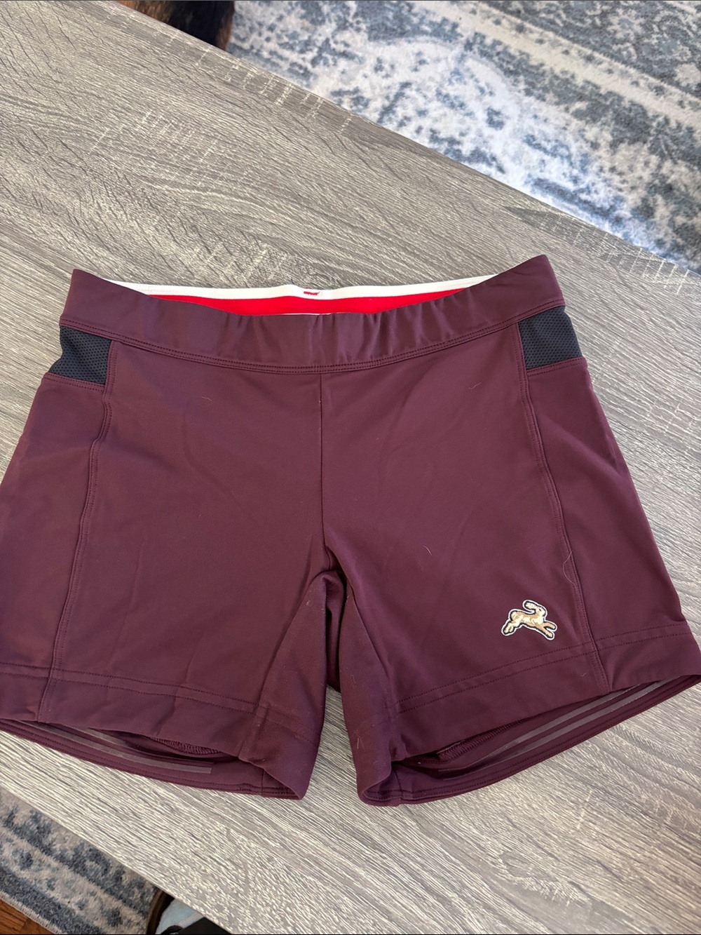 Tracksmith shorts